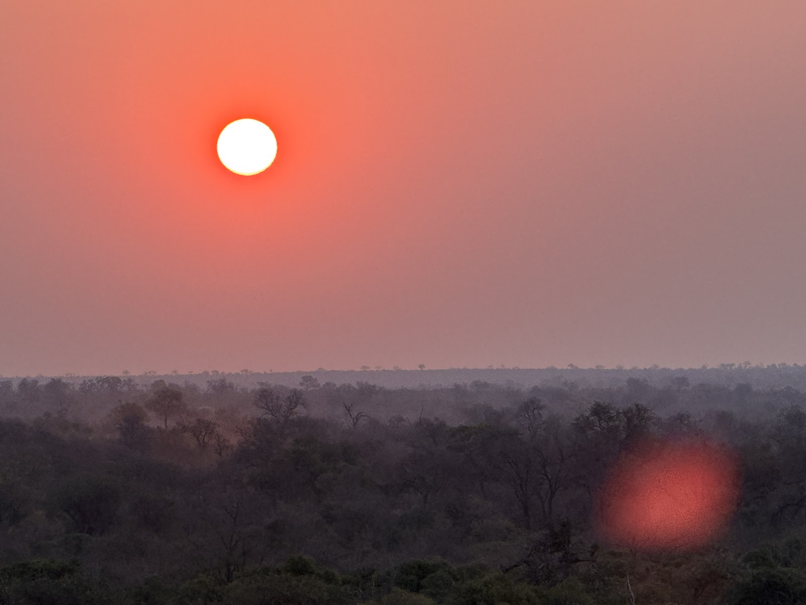 A vivid red sun above the African bush photographed by Lisa Kerr