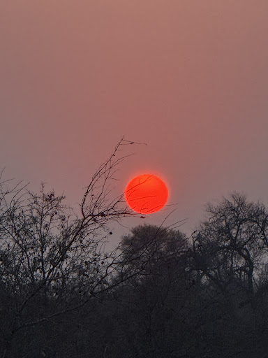 A vivid red African sunset photographed by Google reviewer Lisa Malloy