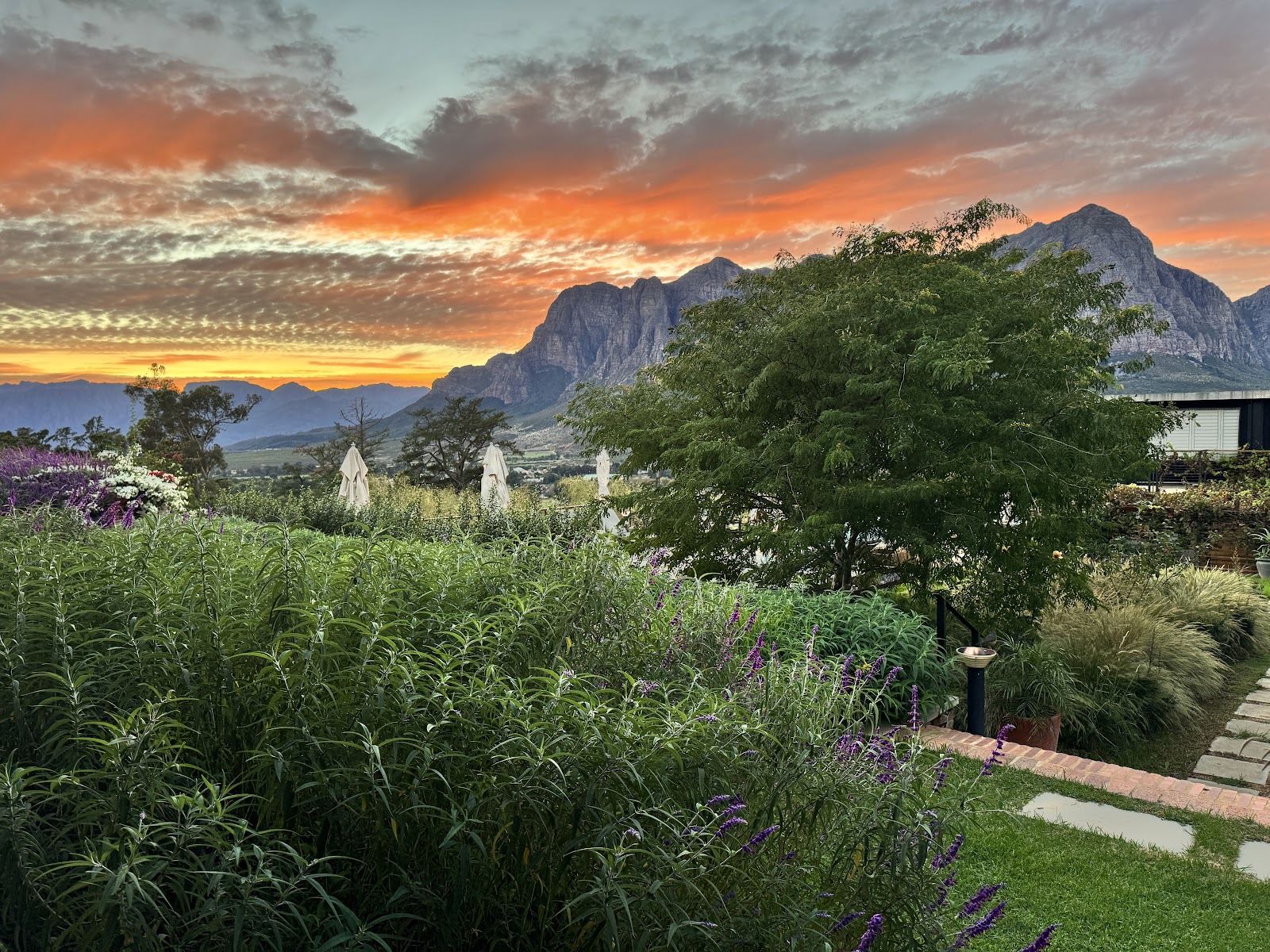 A Winelands garden and mountain range beneath a vivid sunset